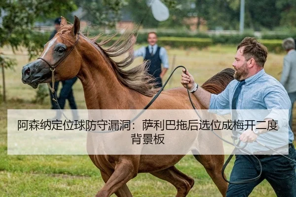 阿森纳定位球防守漏洞：萨利巴拖后选位成梅开二度背景板
